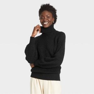 Women’s Wool Turtleneck Pullover Sweater - Who What Wear